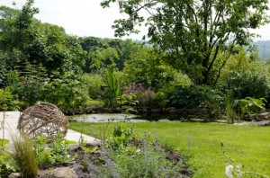 informal garden