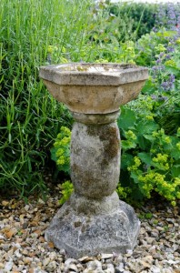 bird bath