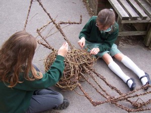 willow spider for the woods