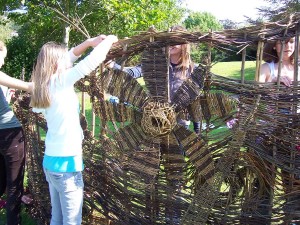 willow screen