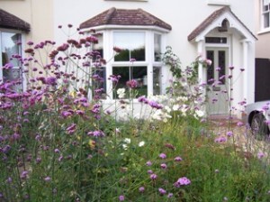 gravel garden & parking