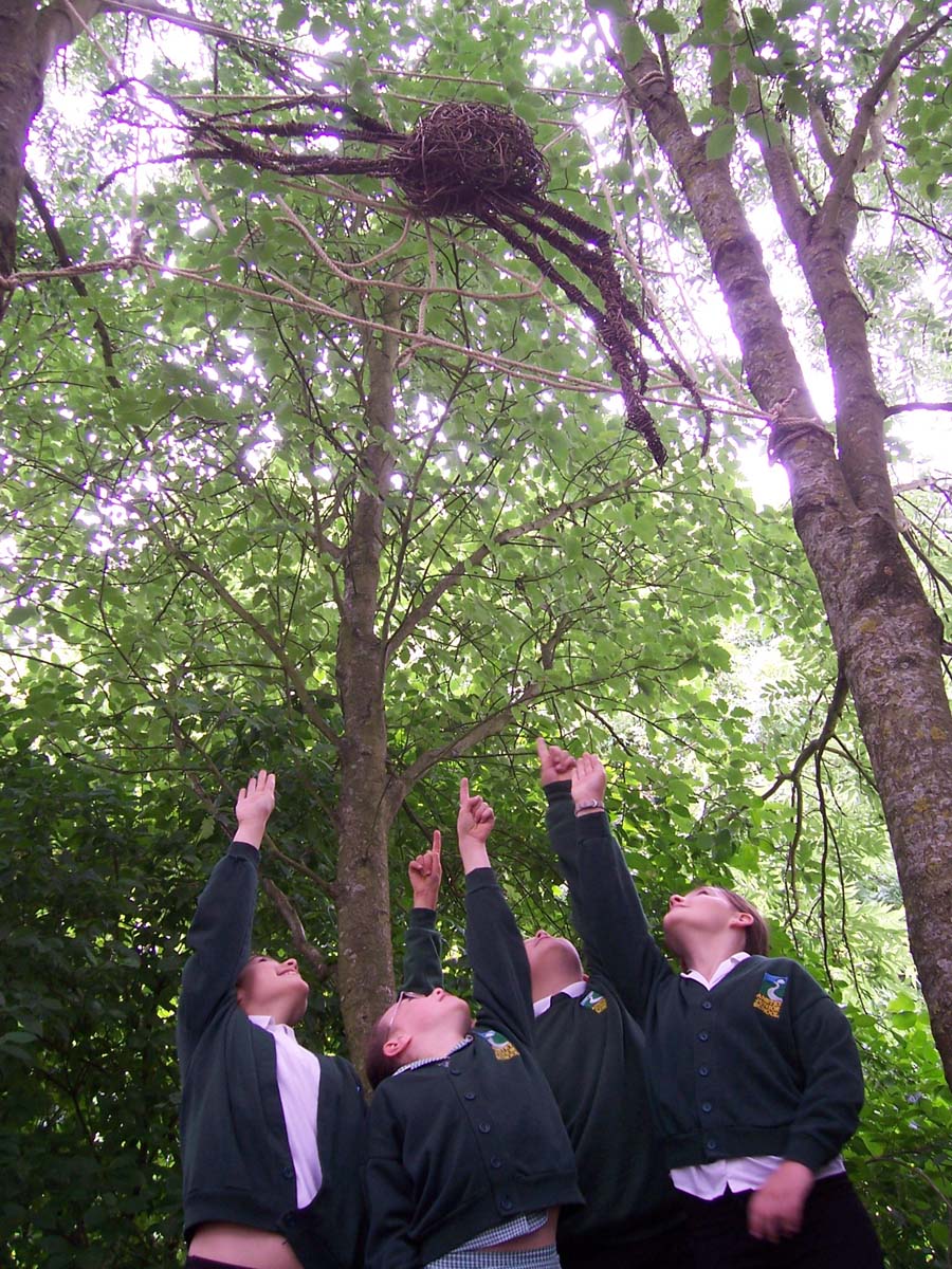 willow spider in web « Angela Morley Garden Design