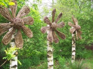 willow flowers