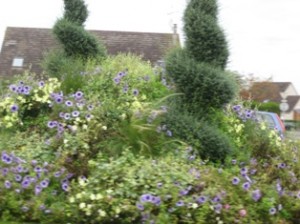 topiary & bedding