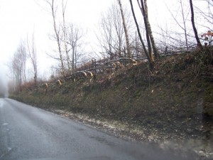 view from the road