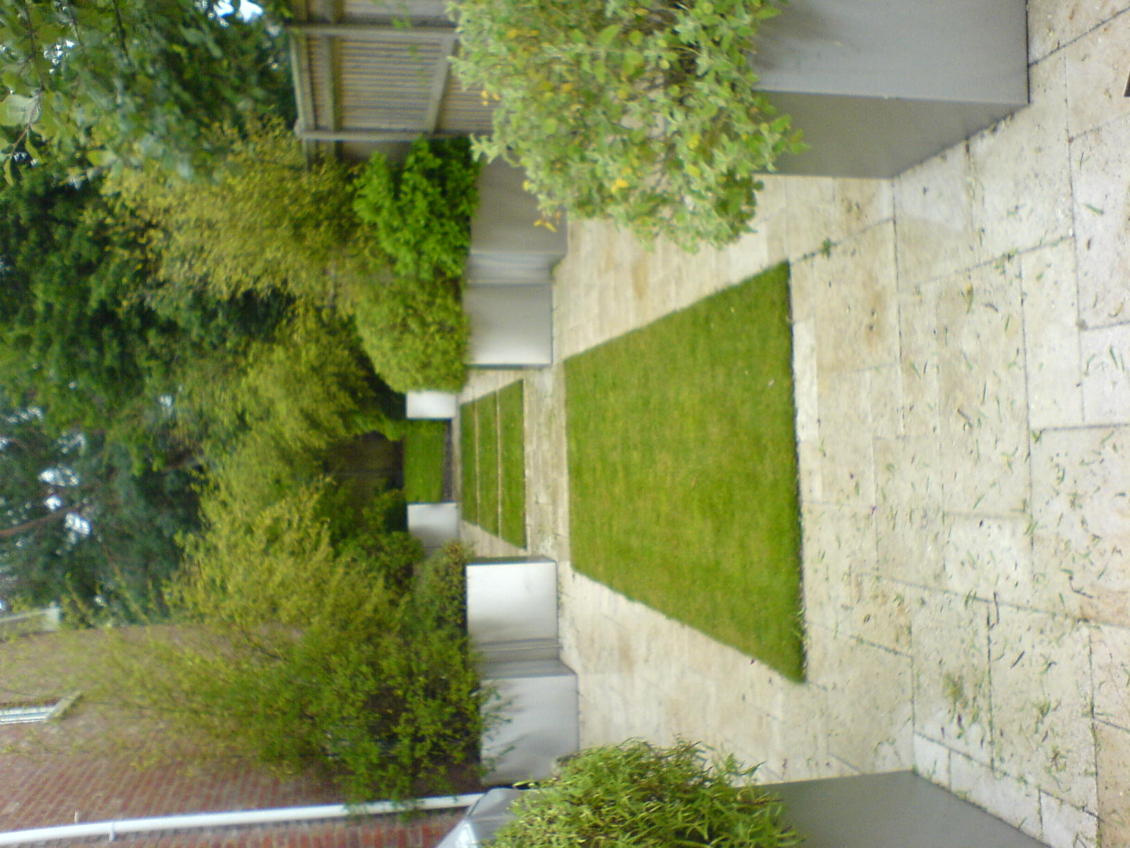 Contemporary Garden